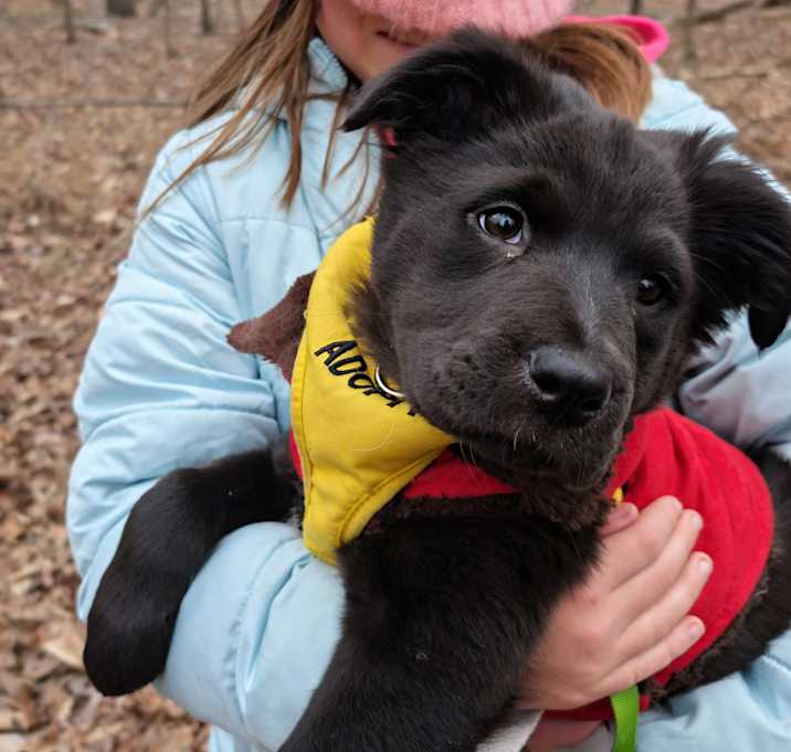 Photo of Mocha (watch my video)