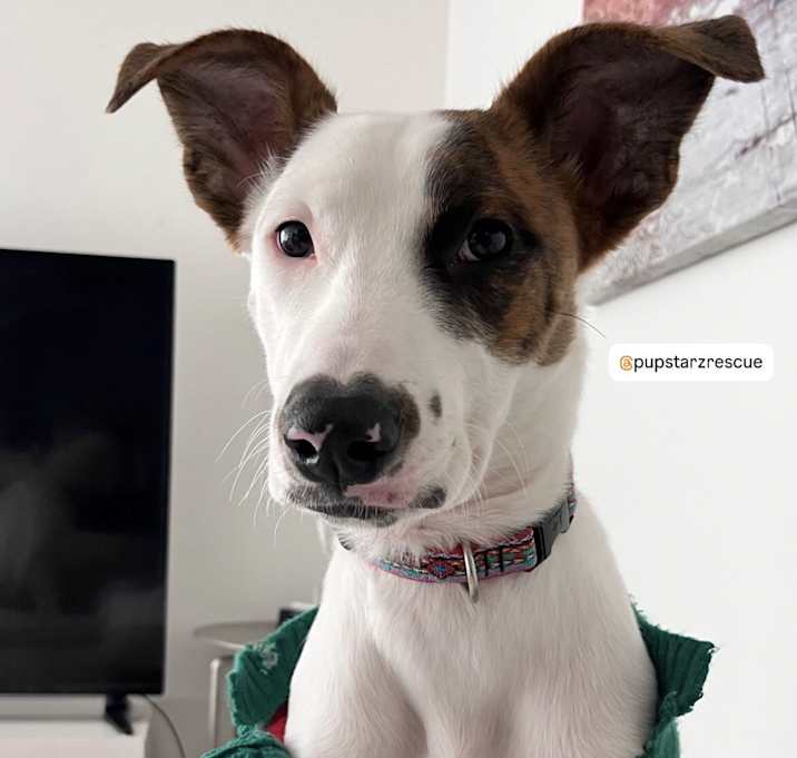 Photo of That’s Hot