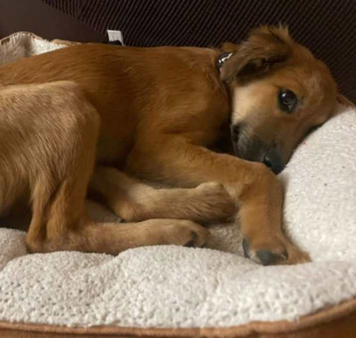 Photo of Butters 4457