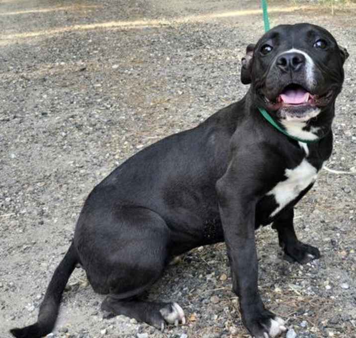 Photo of 252034  Venus