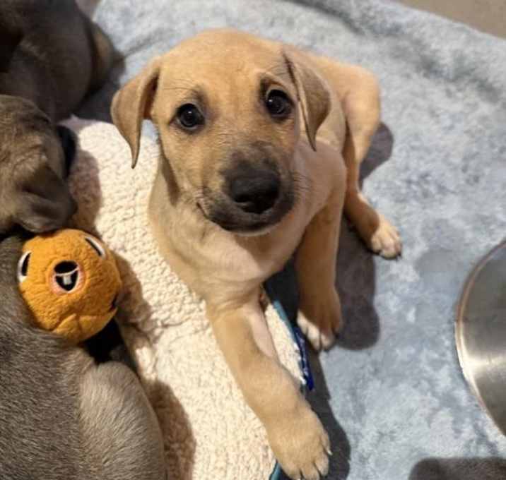 Photo of Elsa Schneider