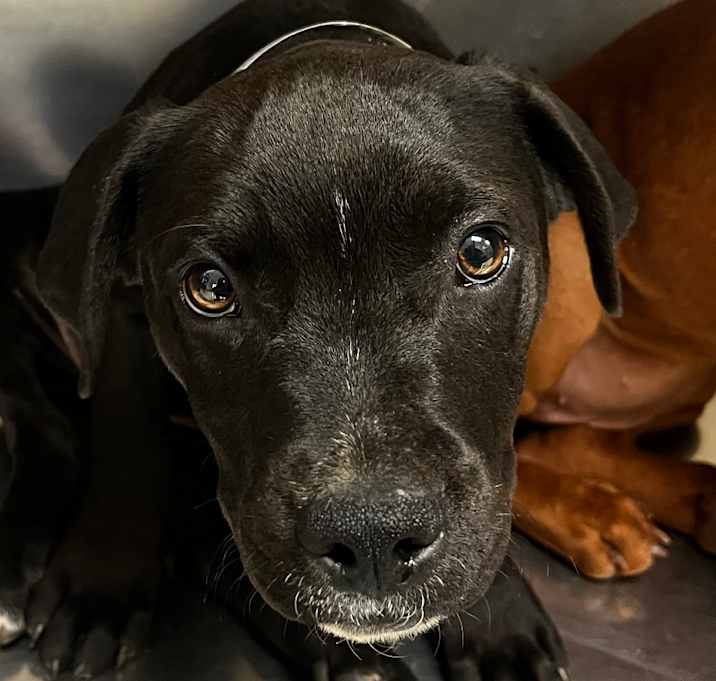 Photo of Robin Buckley