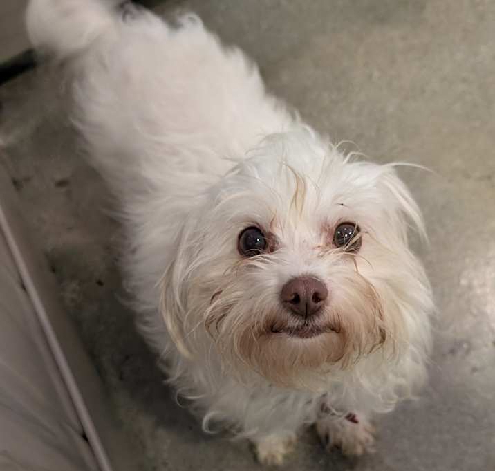 Photo of Little Margaret