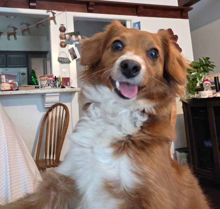 Photo of Princess Jade