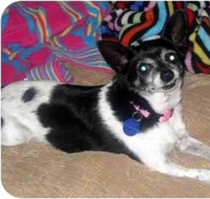Photo of Missy
