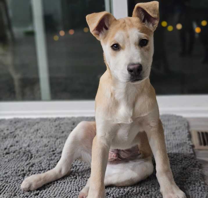 Photo of 990 (2025) Riggs