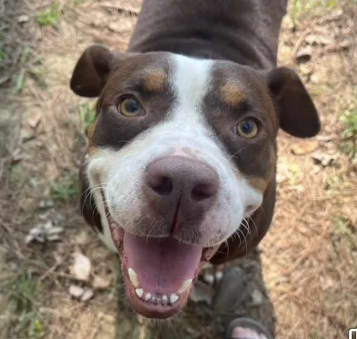 Photo of Xena ~ meet me!