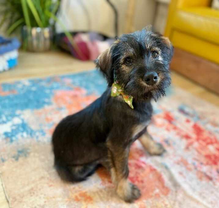 Photo of Fanta Little Pop of Happiness