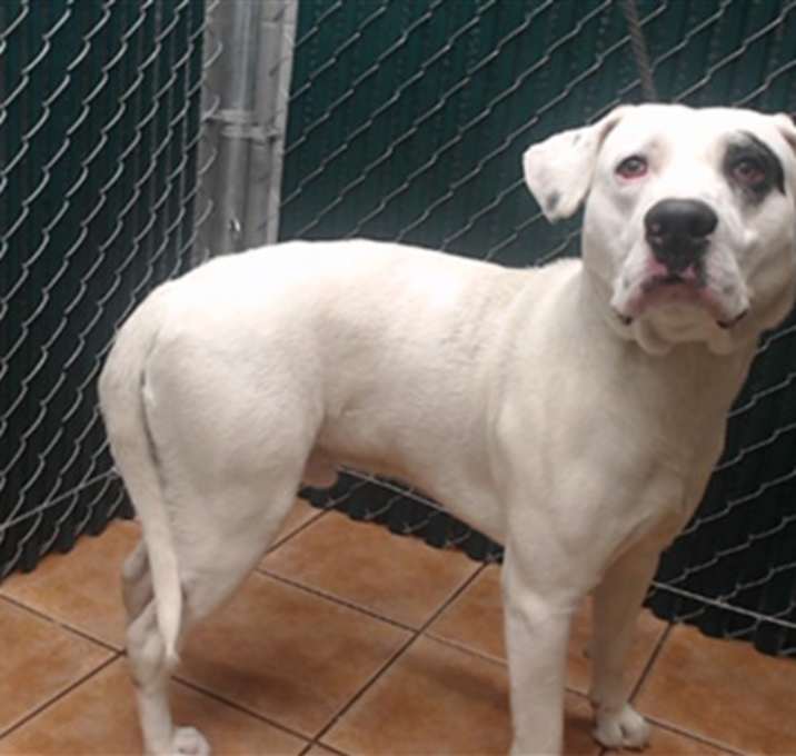 Photo of SPOTTINGTON