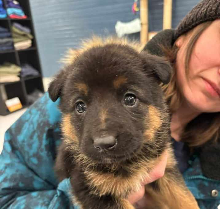 Photo of Glinda (Glinnie)