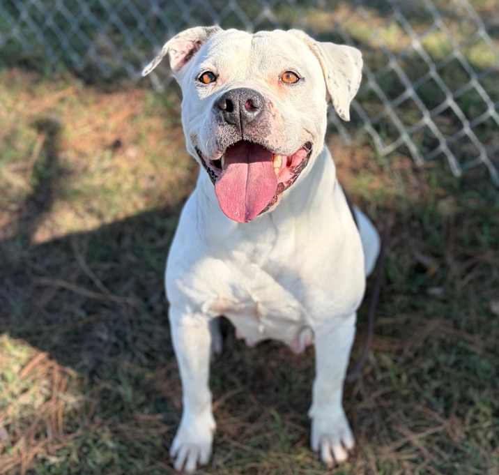 Photo of Violet 25-12-102