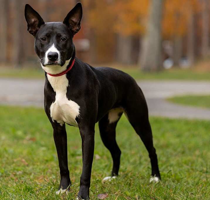 Photo of Kacey - 25126