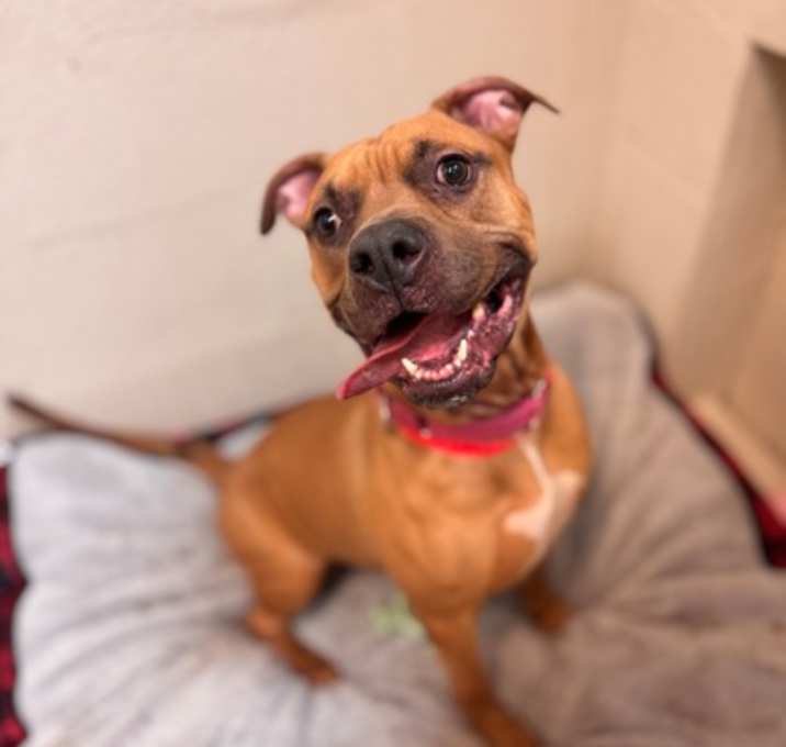 Photo of 90214a Lydia