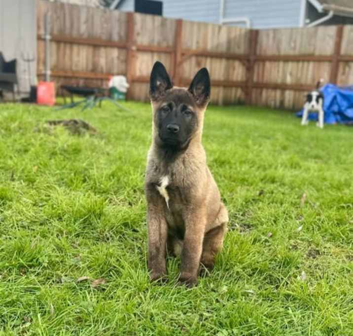 Photo of 25-03 Freya