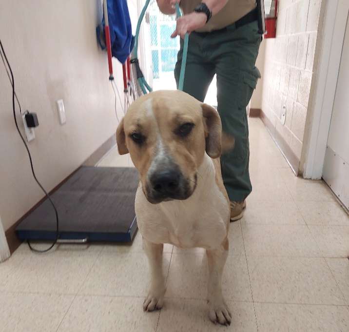 Photo of In and Out Ln 1(Harley)