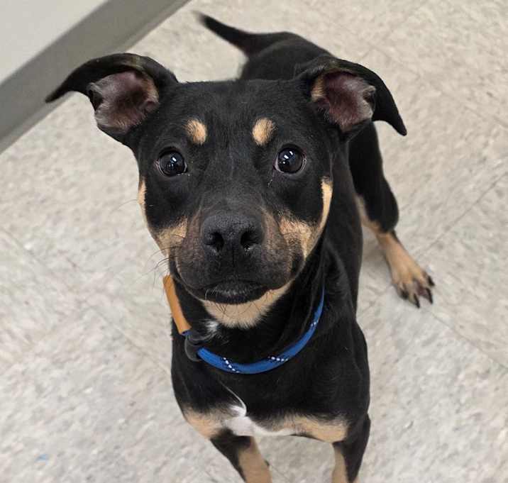 Photo of Coral aka Luna