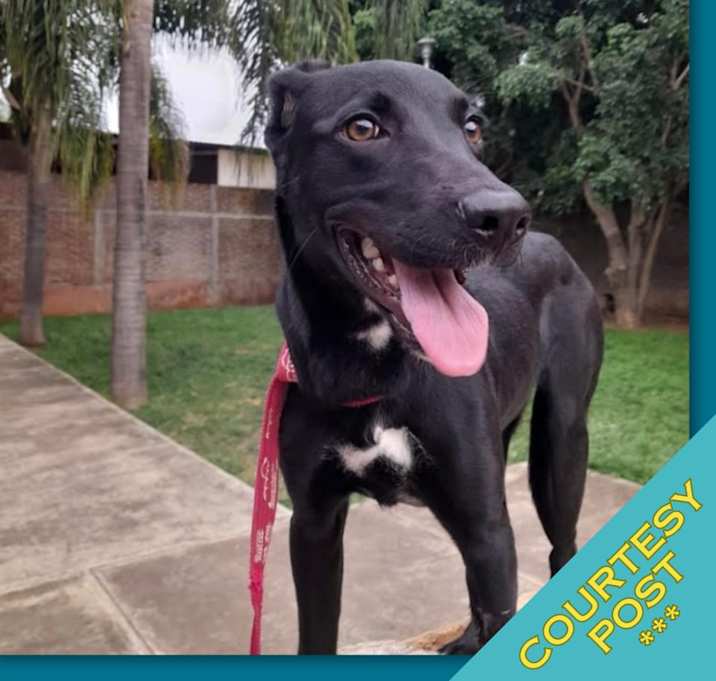 Photo of Athenea (CP)