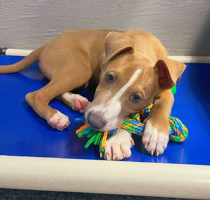 Photo of Gary De’Snake