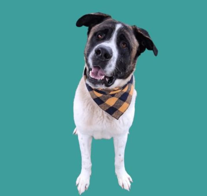 Photo of *COPERNICUS