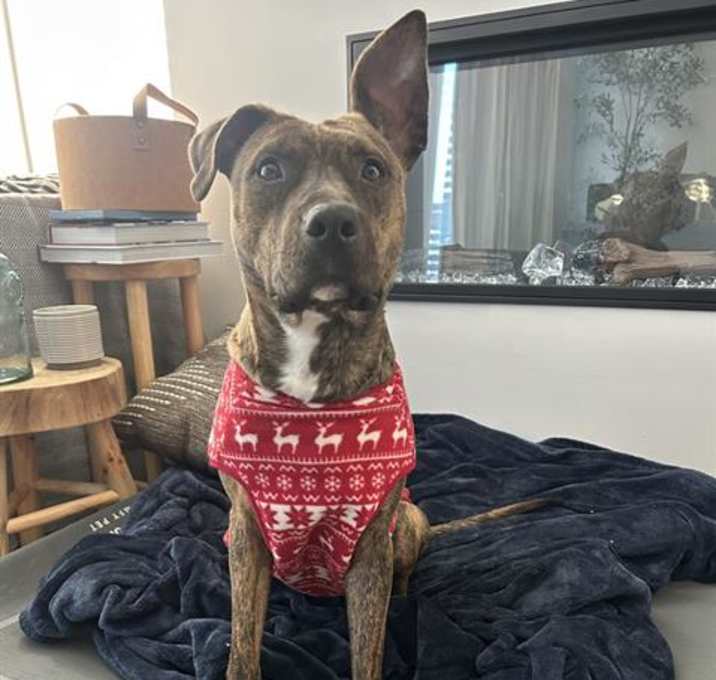 Photo of MAMA STORMY