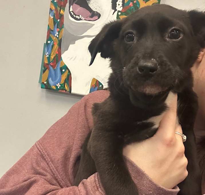 Photo of Tulane 5706