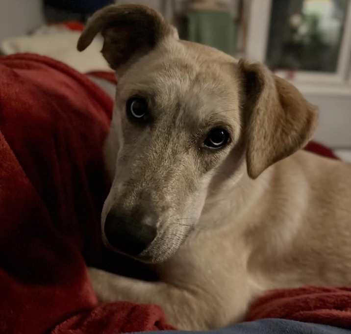 Photo of Jovee ~ meet me!