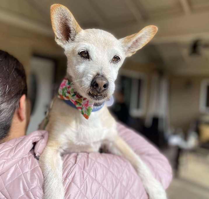 Photo of Dante Nichols