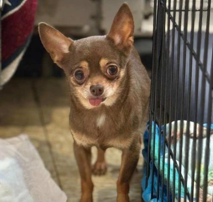 Photo of Indie / Stella