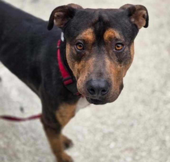 Photo of 90202a Thatcher