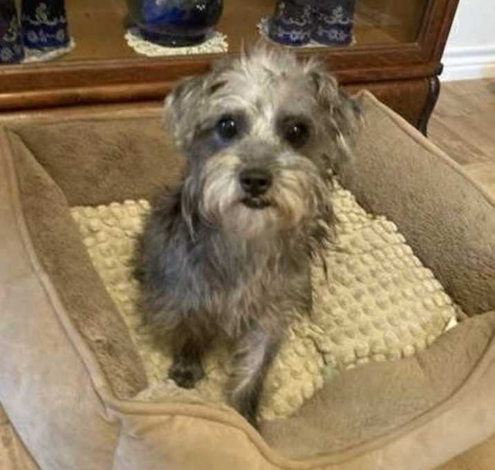 Photo of Maxine Rae IM