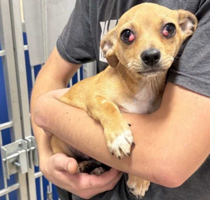 Photo of Charlie Brown