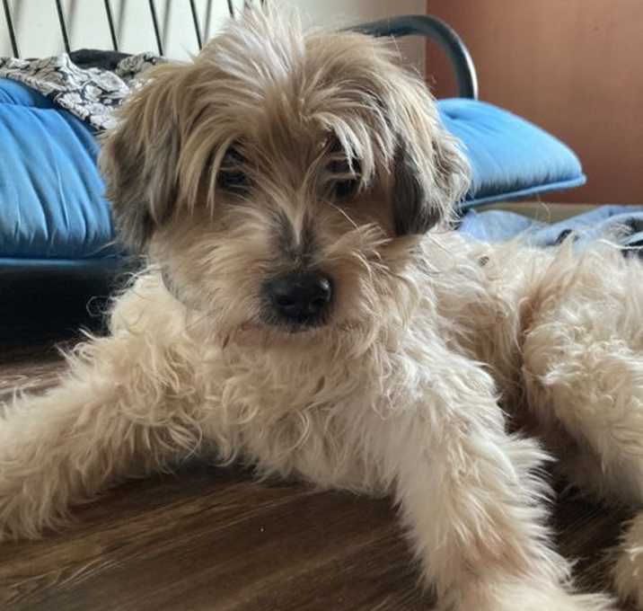 Photo of Happy Pappy