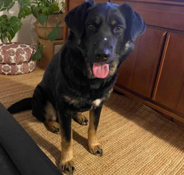 Photo of Vera Velvet