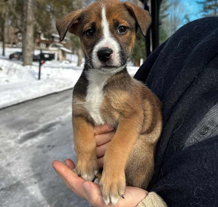 Photo of NY September Avail Jan 10