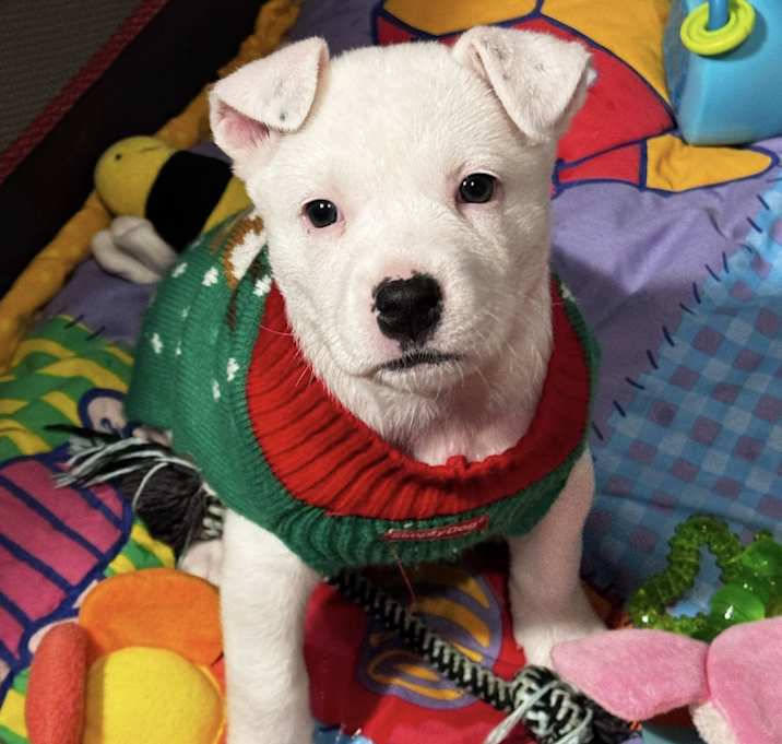 Photo of Betty White