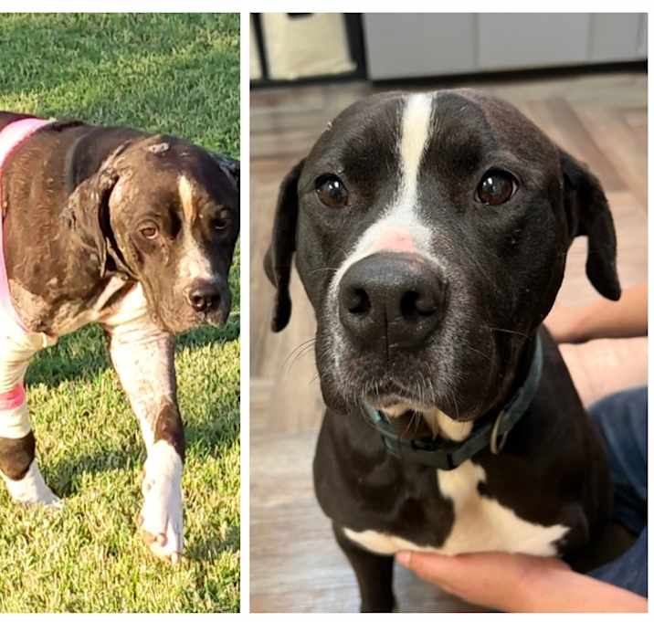 Photo of Grace Kelly