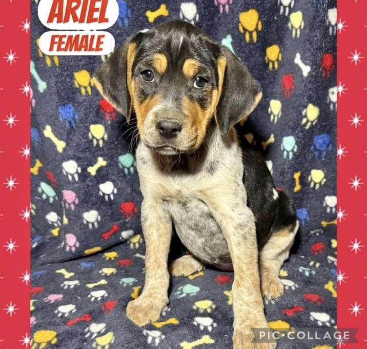 Photo of Ariel meet me 1/17