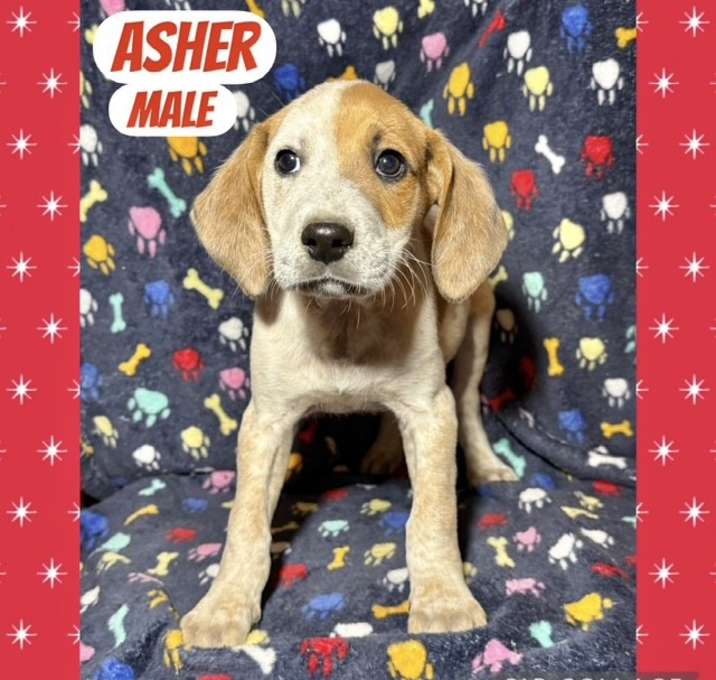 Photo of Asher meet me 1/17