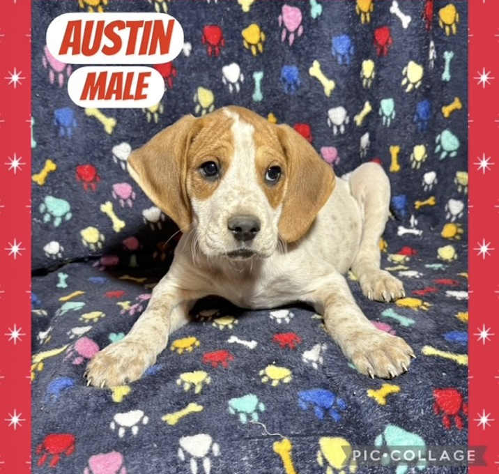 Photo of Austin meet me 1/17