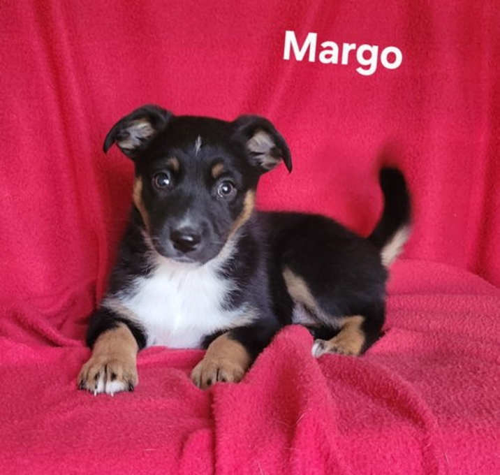 Photo of Margo