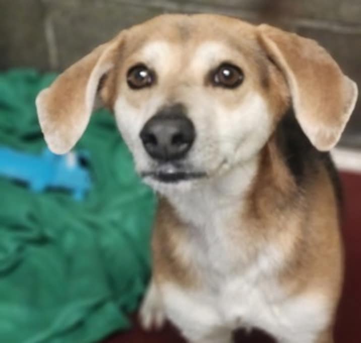 Photo of Mr. Marvin Martian