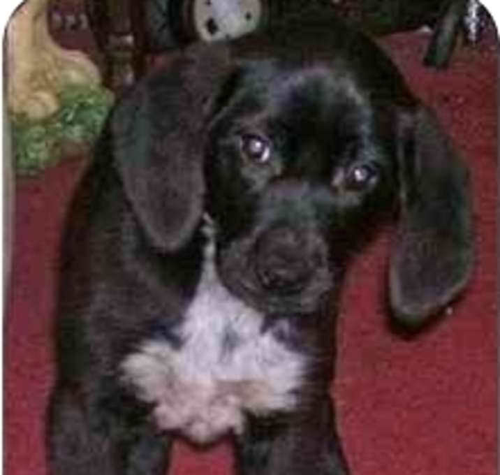 Photo of FAITH