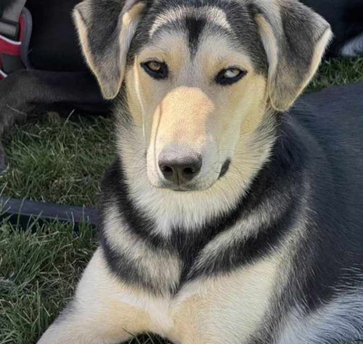 Photo of Pippy Pippa