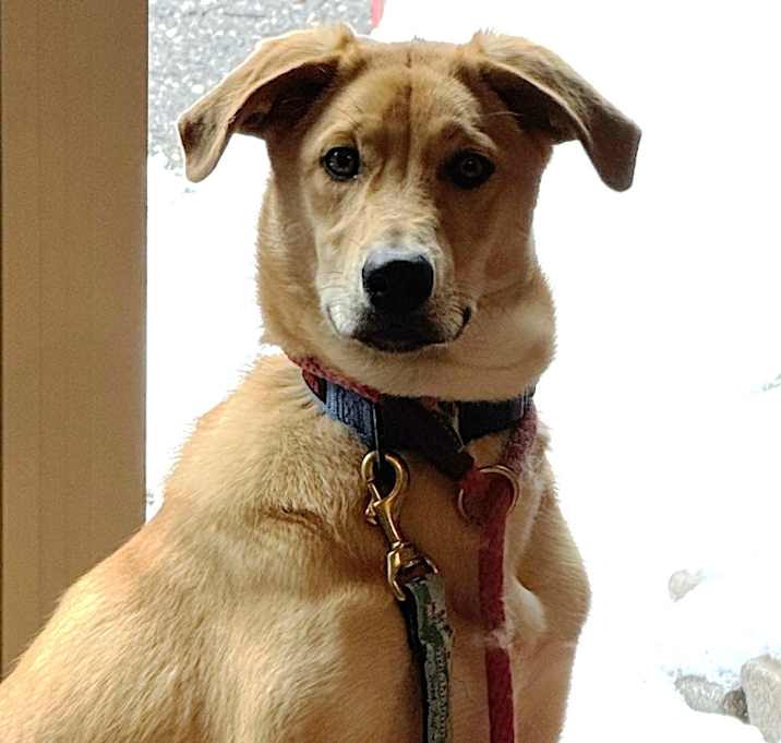 Photo of NY Astro (Foster in Stormville)