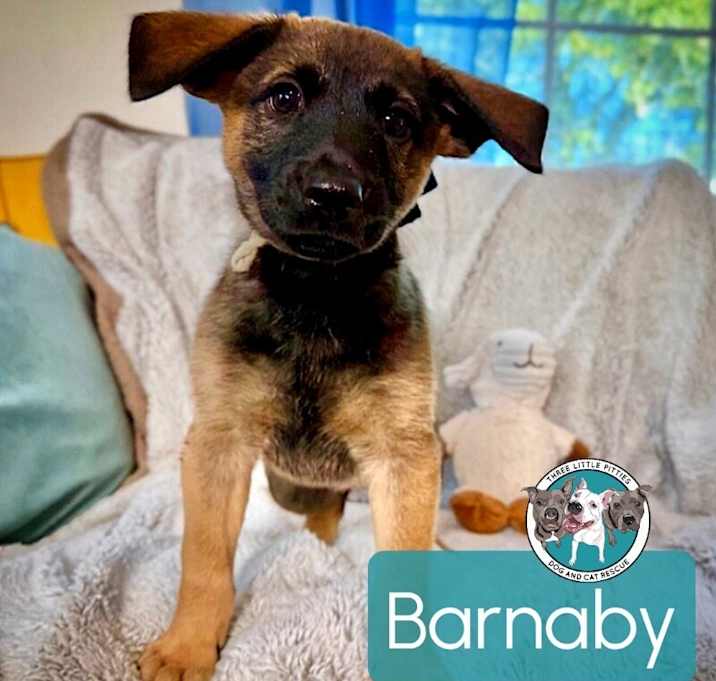 Photo of Barnaby Nina