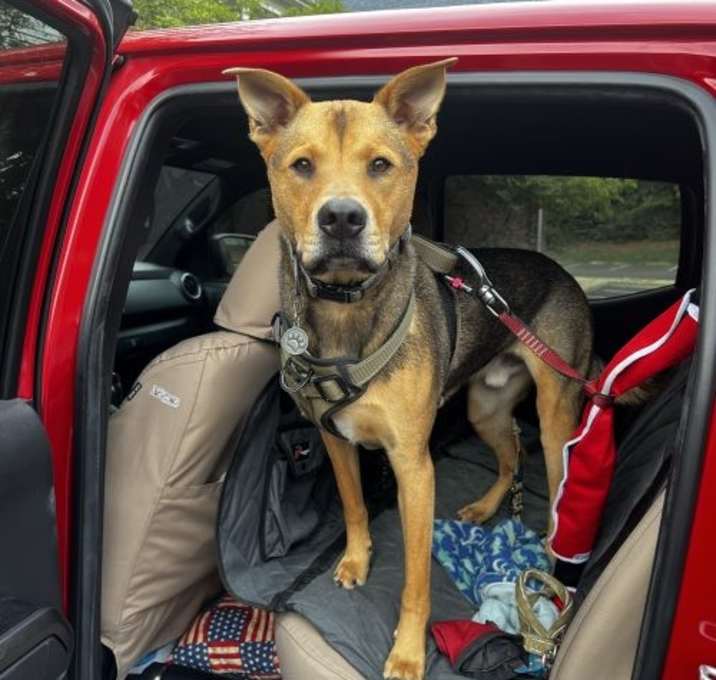 Photo of Murphy (CL)