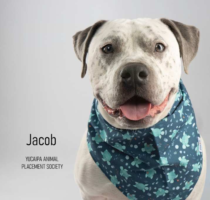 Photo of Jacob 
