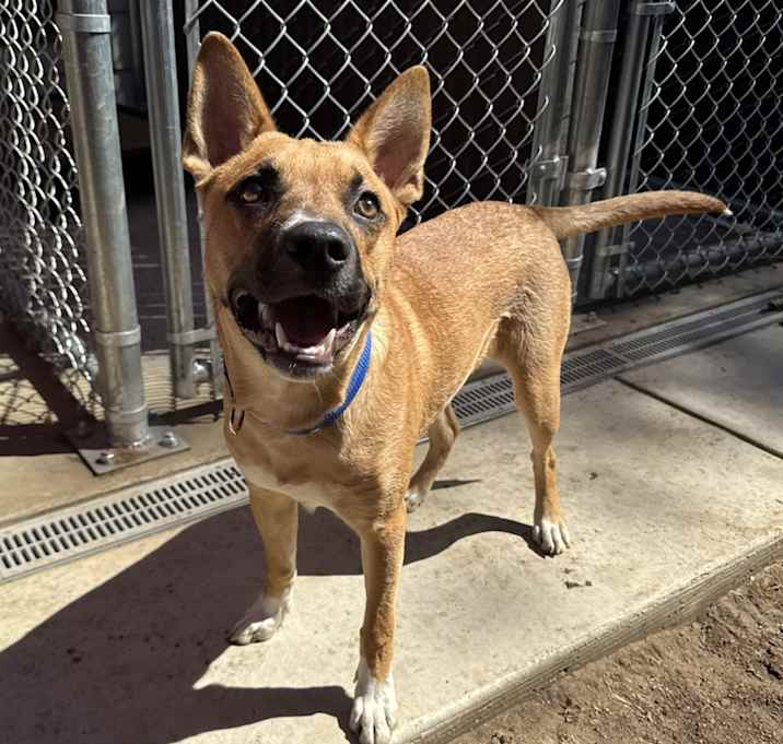 Photo of Derby Sherman McDougal