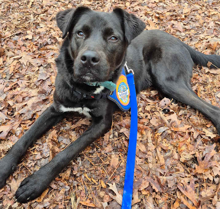 Photo of Ricardo/Phinn