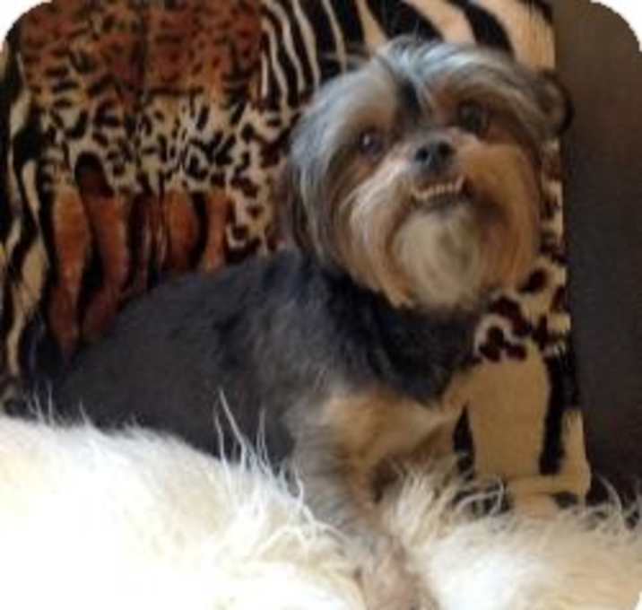 Photo of Bella
